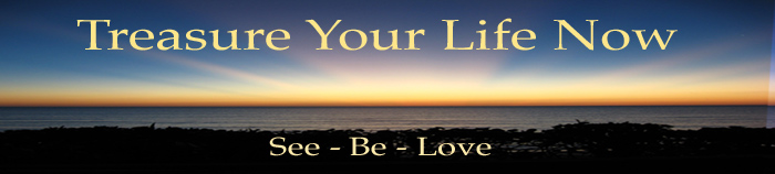 Treasure Your Life Now